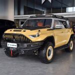 Dongfeng Mengshi M Hero 917  – For Sale From China  |  CHINESE CAR IN EUROPE - Image 8