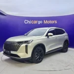 Haval H6 2.0T 4WD MAX (2024) – For Sale From China  | CHINESE CAR IN EUROPE - Image 2