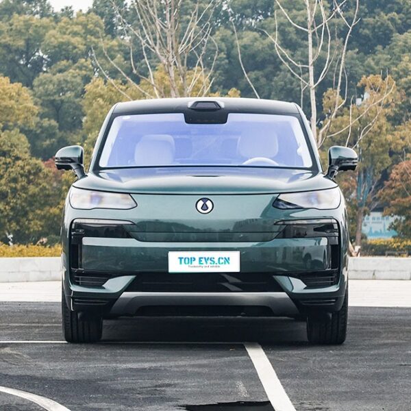 Denza N9 DM 2026 – Buy Direct From China | CHINESE CAR IN EUROPE