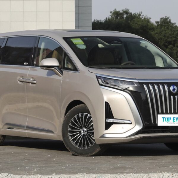 DENZA D9 – Ready for Export From China | CHINESE CAR IN EUROPE