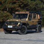 Baic/BAW 212 T01 – For Sale From China | CHINESE CAR IN EUROPE