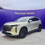 Haval H6 2.0T 4WD MAX (2024) – For Sale From China  | CHINESE CAR IN EUROPE - Image 9